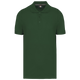 Verde Bosque