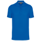 Azul Royal Claro