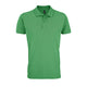 Verde Primavera