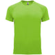 Verde menta
