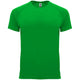 Verde helecho